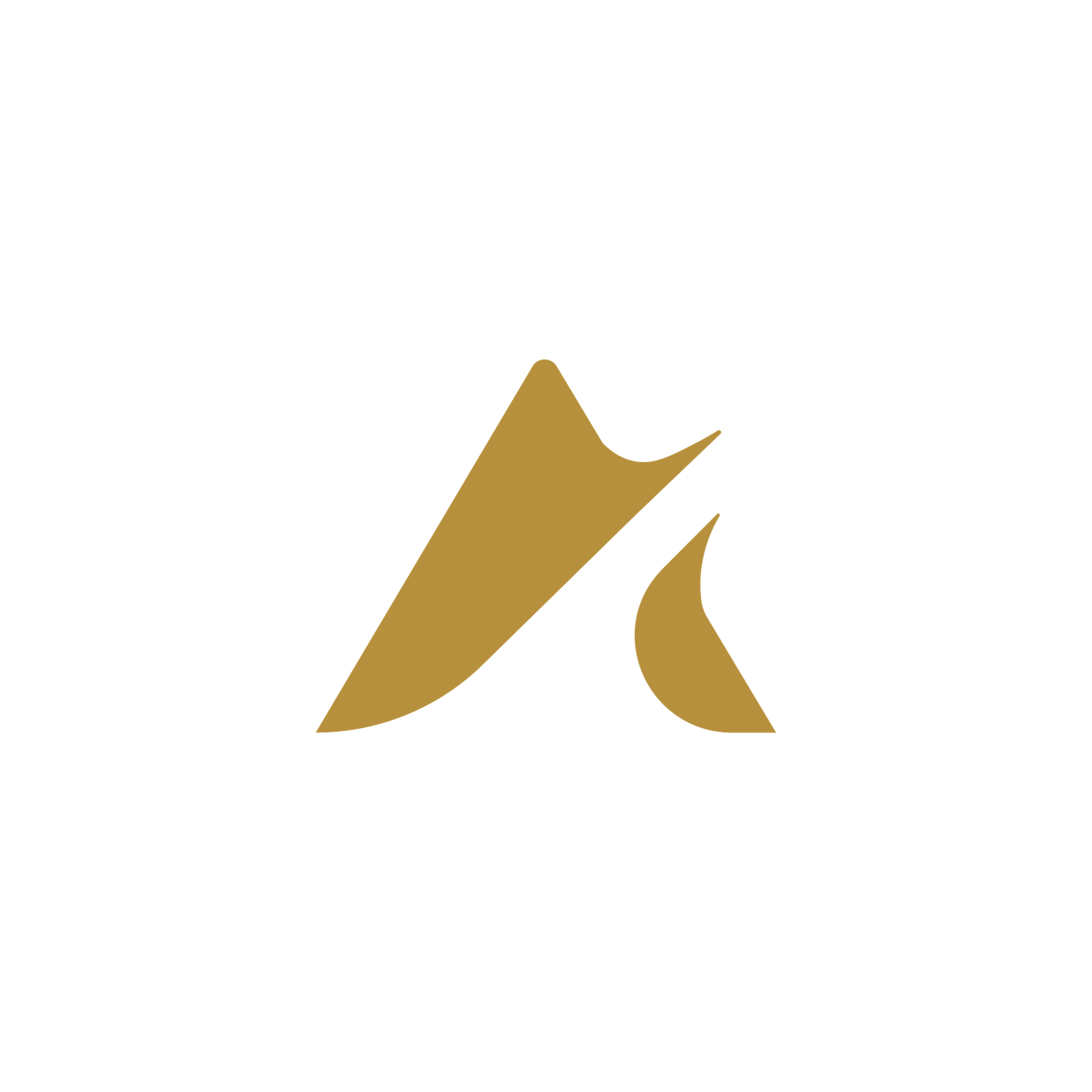 Chief Systems - Software Development Company in Ethiopia